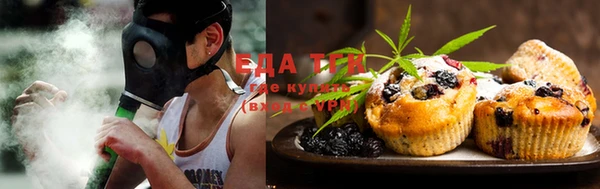 индика Абинск