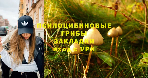 хмурый Алексеевка