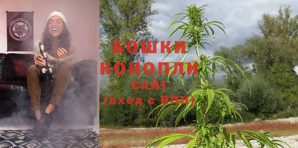 ПСИЛОЦИБИНОВЫЕ ГРИБЫ Абдулино