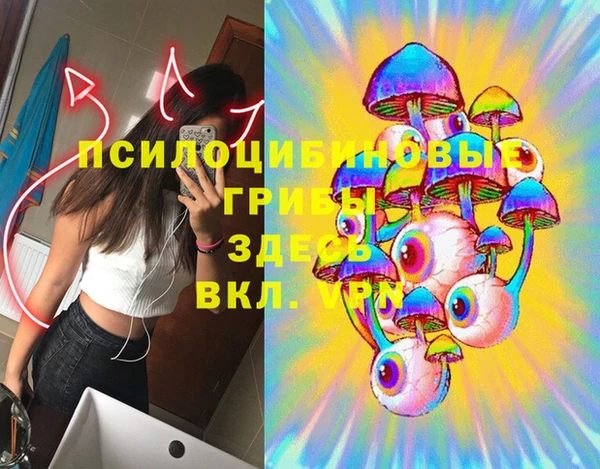 соль курить ск Алзамай