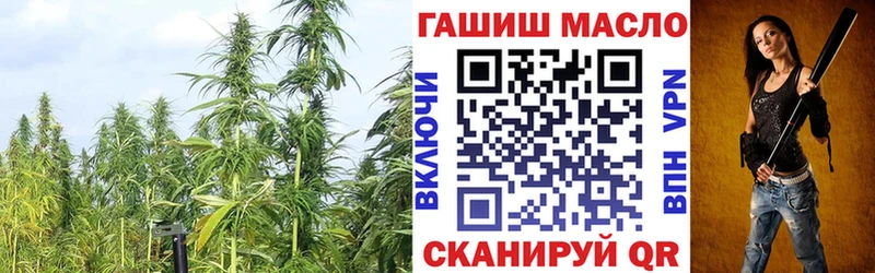 мега как зайти  где купить   Тутаев  Дистиллят ТГК жижа 